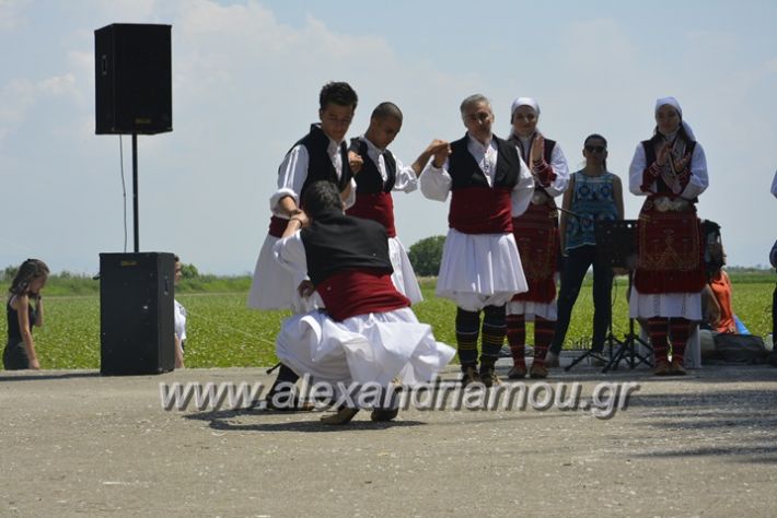 alexandriamou.gr_trikala28.5.2018097